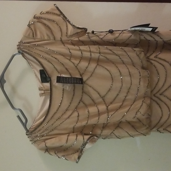 Adrianna Papell Women's Blouson Beaded Gown - Picture 4 of 11